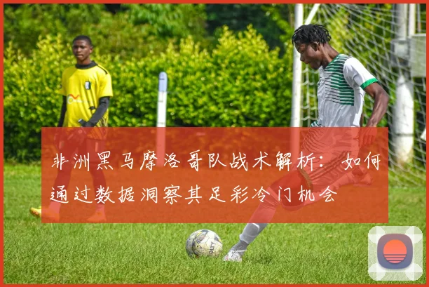 非洲黑马摩洛哥队战术解析:如何通过数据洞察其足彩冷门机会
